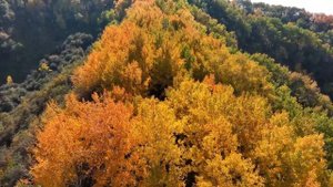 Осень в горах 2023 - Mavic 3 Classic.