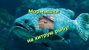 Мелкие мормышки на хитрую рыбу