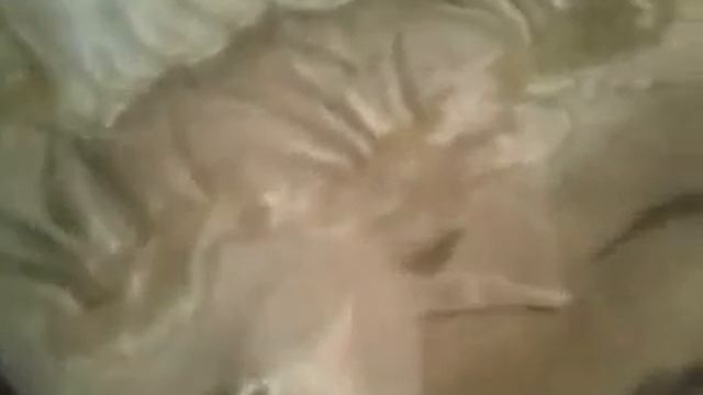 Маленькая  пушистая  радость - играемся:)