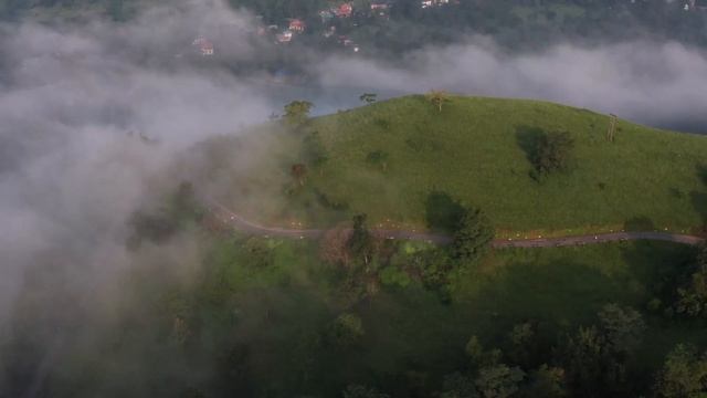 Действительно ли бег помогает сбросить лишние килограммы? смотреть онлайн