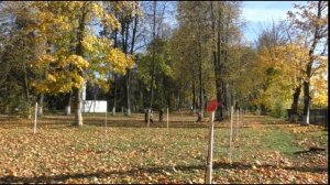 Солнечному миру Да! Да! Да!