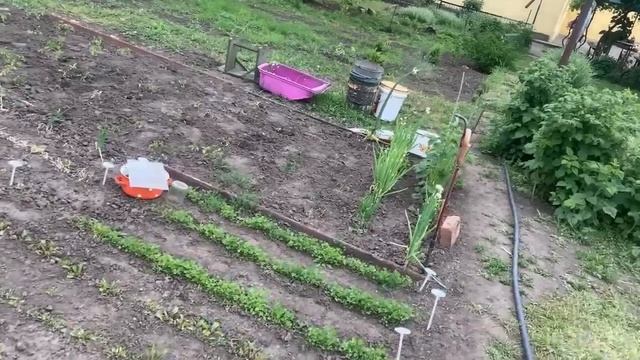 Чуть не попалась на мошенника!Спасибо интуиции😘На огороде я и моя мама) смотреть онлайн