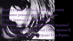 velvet underground ,  venus in furs