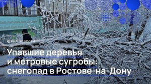 Снегопад оставил метровые сугробы в Ростове-на-Дону