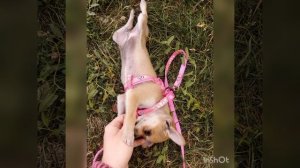 ДЕЛАЮЩИЙ ДОБРО или SAKPANOV MANSUR. ОКАЗЫВАЕТСЯ МАНСУР ДИРЕКТОР КОМПАНИИ 😱. ЛЮДУ ВЫГОНЯЮТ ИЗ ДОМА?