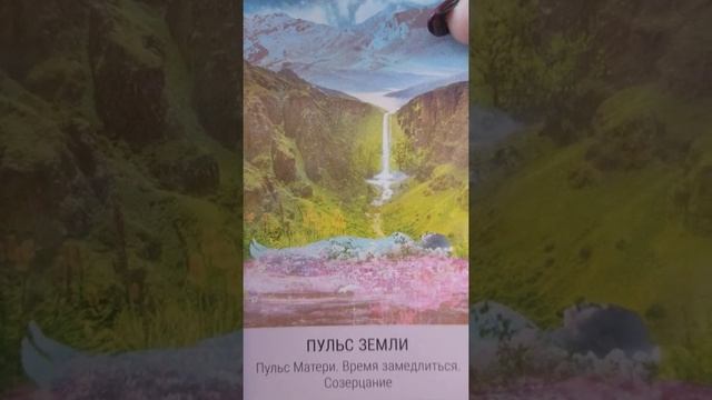 Карта дня Пульс Земли. Звёздное Таро @Tvoyazvezda