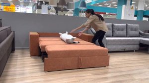 ТТ Адмирал 2 1400 с дельфином