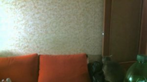 ШОК! Влад Савельев ходит голый по квартире.