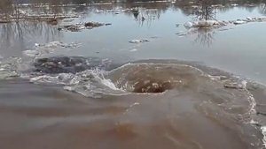 Омут! можно смотреть часами...