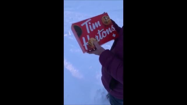 Cas Yikh Elder Arrested at 27 km #WetsuwetenStrong смотреть онлайн