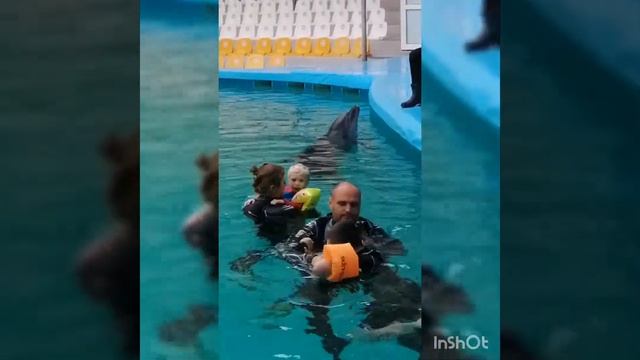 Дельфинарий. День 1. Дельфинотерапия #дельфинотерапия #дельфины #скадовск смотреть онлайн