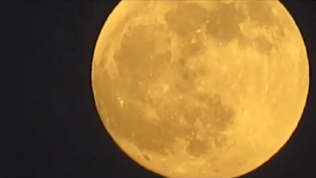 "Кровавое Полнолуние" смотреть онлайн