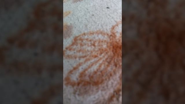 9 марта 2019 г. смотреть онлайн