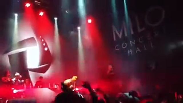 Давай танцуй киса, давай флиртуй киса💥 смотреть онлайн