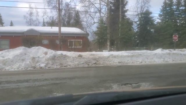 Аляска. Моё утро. Лоси, разбитые дороги. Весна. смотреть онлайн