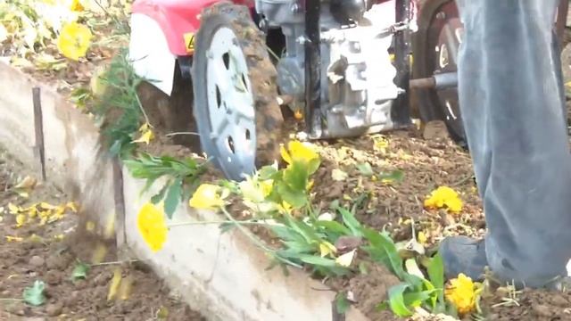 HONDA FF 500 al lavoro in una serra di ranuncoli смотреть онлайн