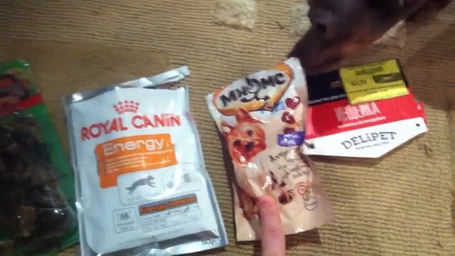 Отзывы о лакомствах. Тестируем лакомства! смотреть онлайн