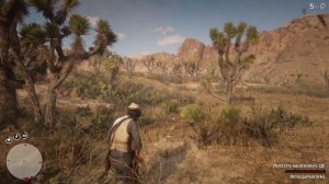 Red Dead Redemption 2 Охота на Легендарную Пуму