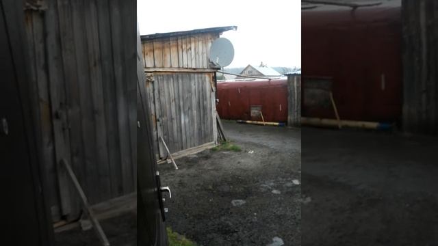 Дождь в полдневой