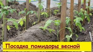 " Помощь  подоспела  - лупанула  по  руке  "