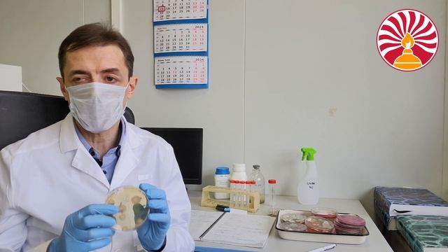 Грибковая загрязненность кормов для птиц. Аспергиллы, плесени. Связь с болезнями. Реальные данные смотреть онлайн