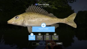 русская рыбалка 4 - СЕВЕРСКИЙ ДОНЕЦ...ТРОФЕЙНЫЙ ЕРШ НОСАРЬ.