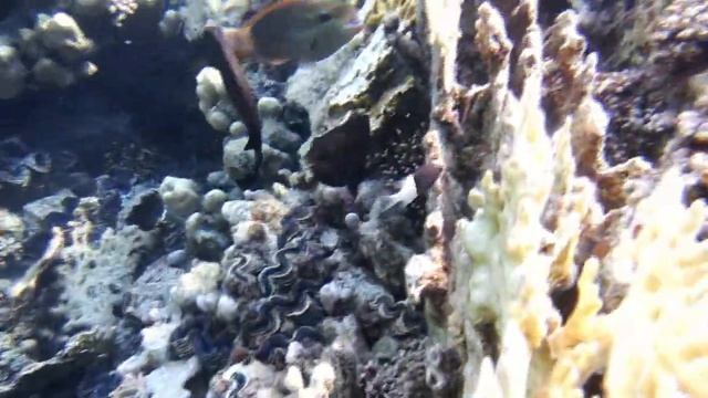 AURORA BAY RESORT смотреть онлайн