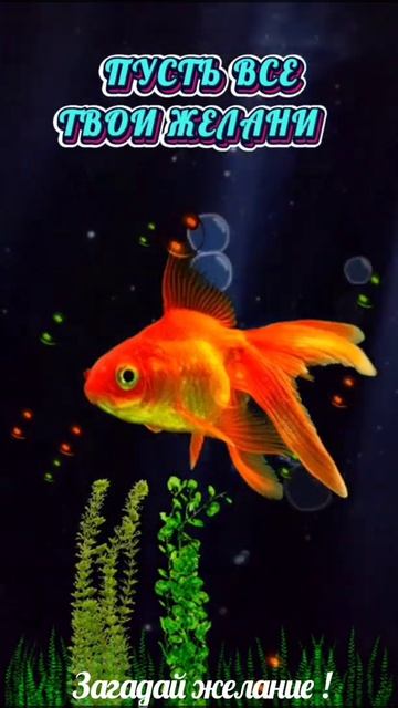 #shorts Загадай желание ! 20 марта в день весеннего равноденствия. смотреть онлайн