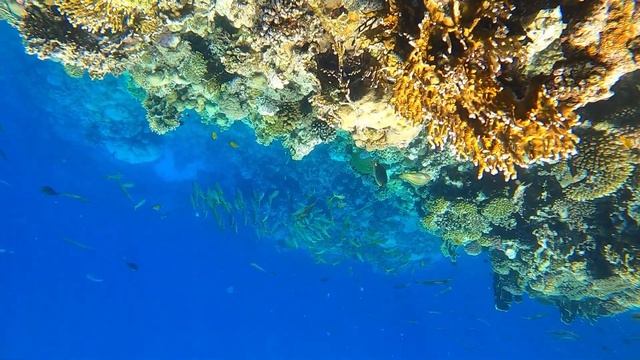 Marsa Alam 2022 смотреть онлайн