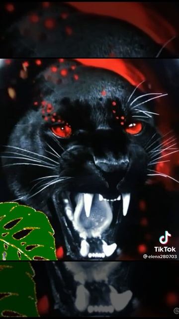 год тигра смотреть онлайн