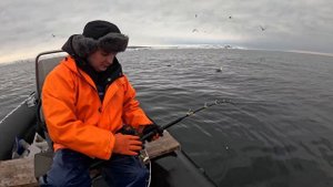 ВЫШЛИ В БАРЕНЦЕВОЕ МОРЕ ПОЛОВИТЬ ТРЕСКИ / COD FISHING