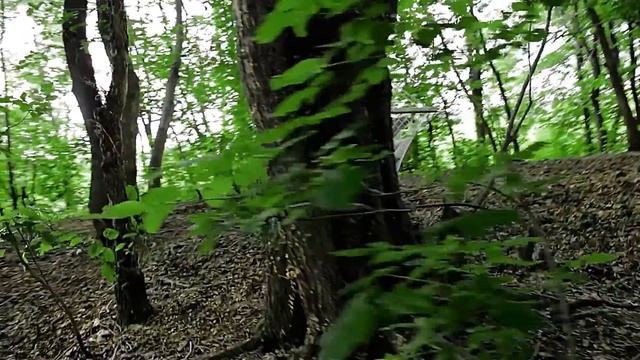 Лавстори Альберт и Гузель смотреть онлайн