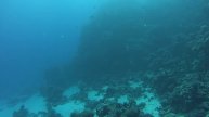 Wadi Lahmy Azur bottom, Marsa Alam 29.12.2020