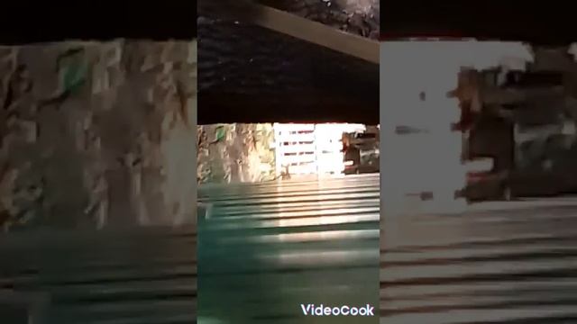 неизвестная тыква пришелец из космоса 😱😱👽👽 смотреть онлайн