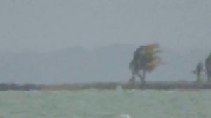 Coolpix P600 Mega Zoom 60x Quintana Roo, México