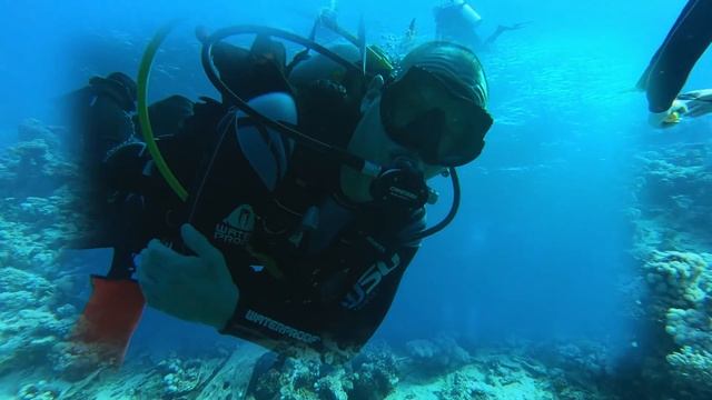 Tauchen Marsa Alam смотреть онлайн