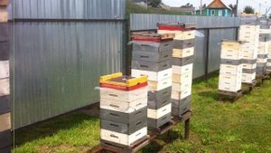 Небоскребы, небоскребы, а я маленький такой)