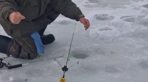 сёмкина 2 в комаровке