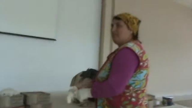 Баурчи-"Елим". Завершителные работы зала.23.05.2017. смотреть онлайн