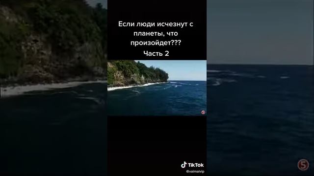 Если люди исчезнут с планеты смотреть онлайн