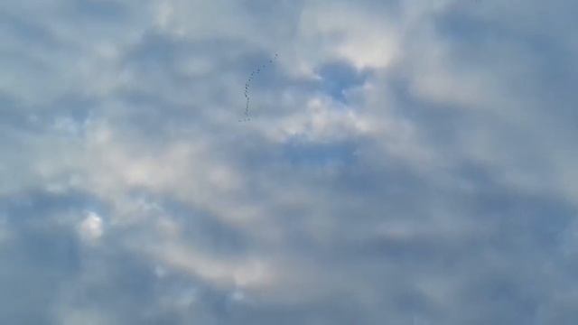 Летящая банда уткосов косит под нло хдд смотреть онлайн