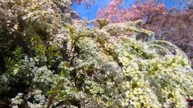 ЭНИЕМЭ 💗  МОЕЙ МАМЕ 💗  TO MY MOTHER 💗 смотреть онлайн