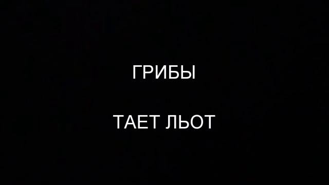 ГРИБЫ тает льот смотреть онлайн