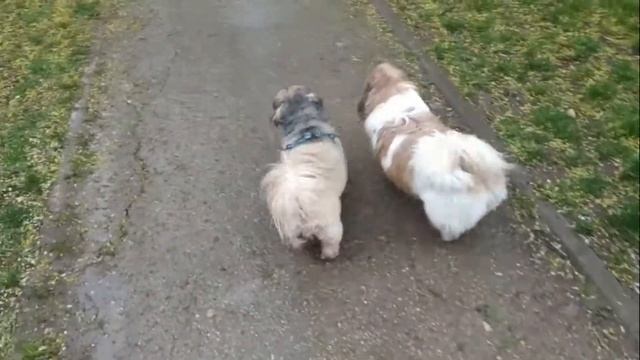 Марси Бэлла 1