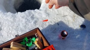 РЫБЫ МНОГО НЕ БЫВАЕТ ИСПЫТАНИЕ НОВОЙ СНАСТИ