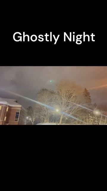 🌕Mystical Midnight: Fredericton's Spooky Moonlit Encounter with Crows! 🦉