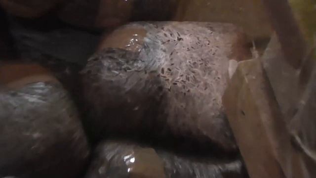 пакетики и тд (продолжение и разные мысли) смотреть онлайн