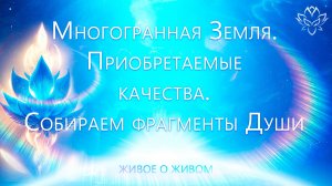 Многогранная Земля. Приобретаемые качества. Собираем фрагменты души