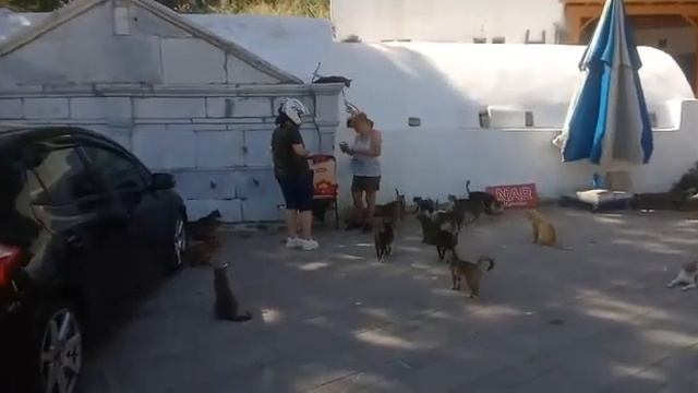 Бодрум , крепость , пляж , улицы смотреть онлайн