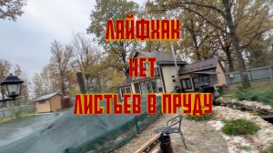 ПРУД ОСЕНЬ 2024 ЧИСТАЯ ВОДА